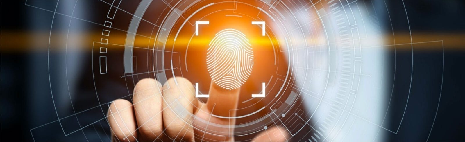 Photo for Transportation Insight