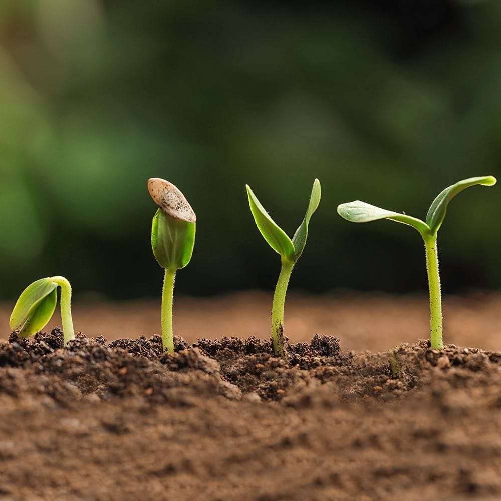 How Companies Can Evolve Their B2B Marketing … or Be Left Behind