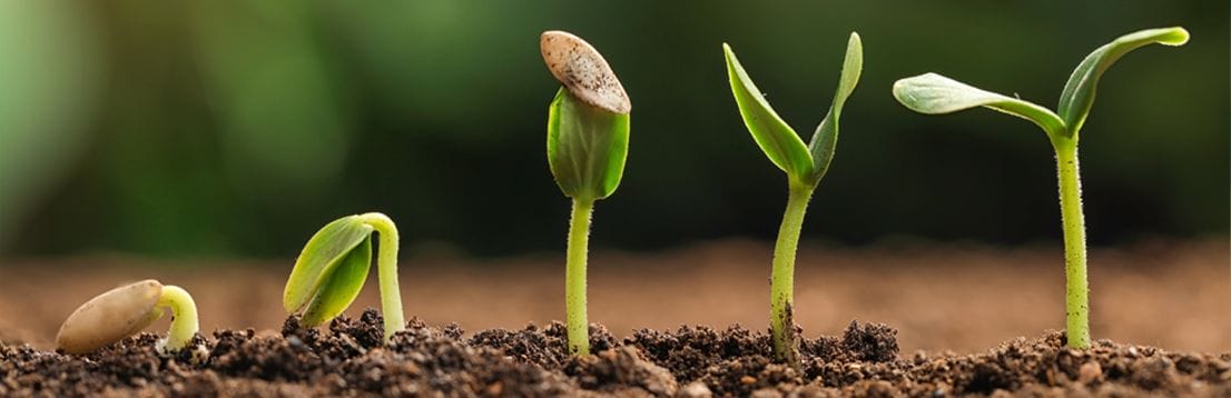 How Companies Can Evolve Their B2B Marketing … or Be Left Behind